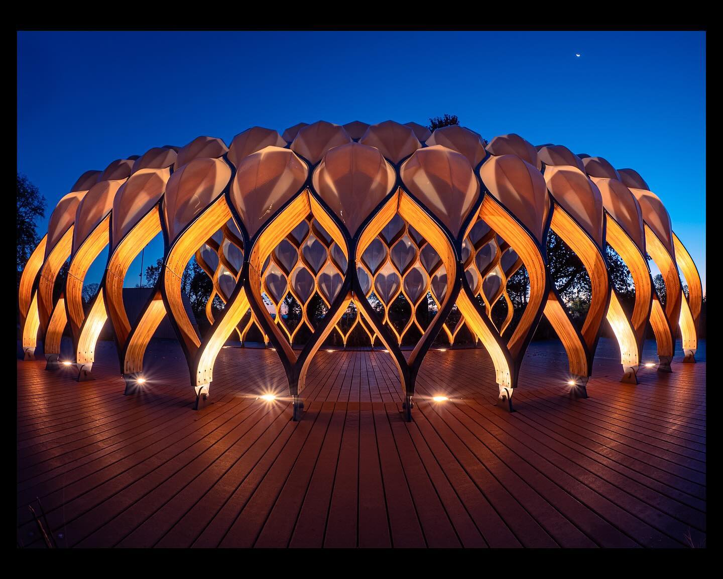 Photo of Chicago's South Pond Pavilion - A pavilion-style wooden structure with curved beams forming an open, organic framework under a twilight sky. Photo by Nick Sinnott